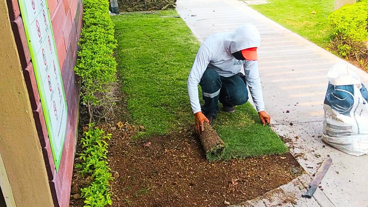 Recuperación de Áreas Verdes
